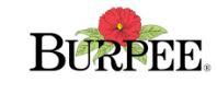 Burpee Coupon Code