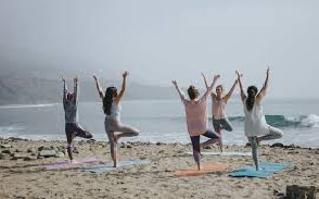 Lifestyle & Self-Improvement Coupons